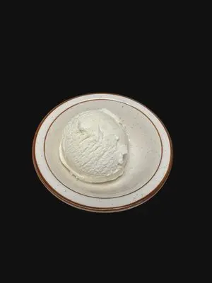 Vanilla Bean Ice Cream